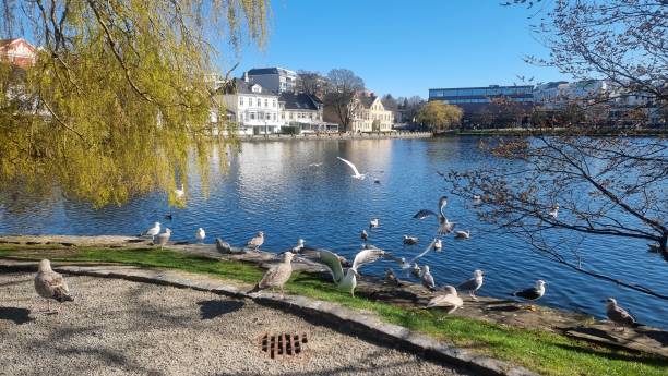 istock The Great beantiful stunning scenery of city park 2149789149