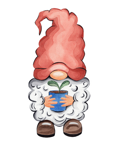 Garden gnome with a plant pot. Watercolor illustration