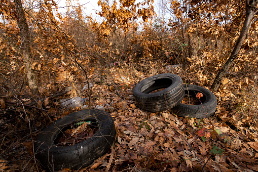 Used tire and other trash in a forest.