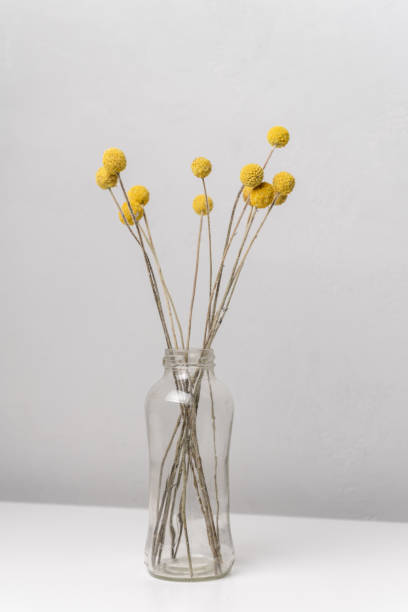 istock Dried flower bouquet in a bottle 2149794578