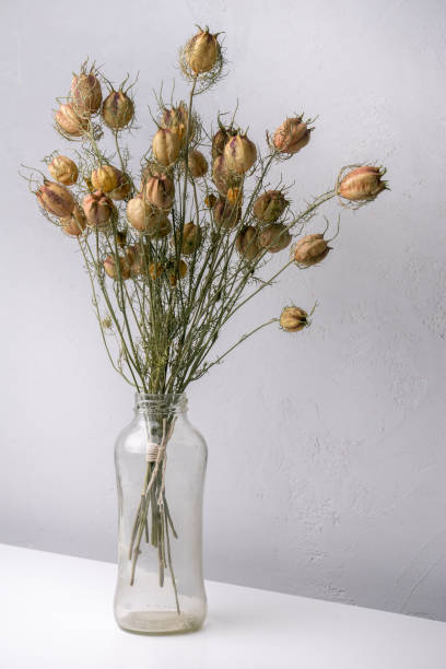 istock Dried flower bouquet isolated 2149794760