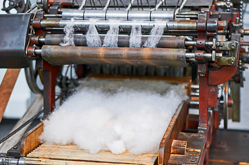 Carding machine with white wool
