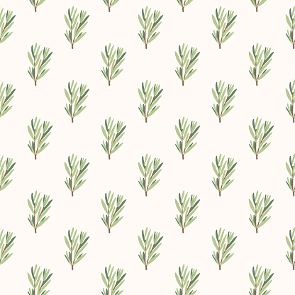Rosemary herbs seamless pattern. Rosemary plant green leaves repeat background. Botanic branch endless cover. Vector simple hand drawn illustration.