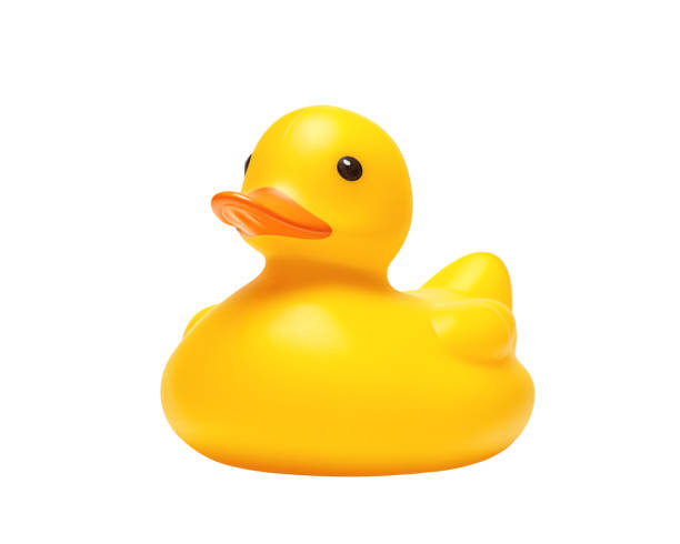 canard en caoutchouc jaune sur fond blanc - canard en plastique photos et images de collection