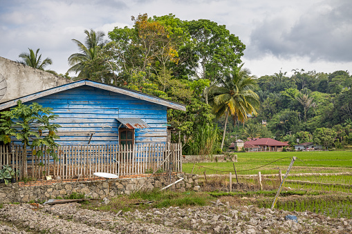 Samosir Island, Lake Toba, North Sumatra, Indonesia - February 1st 2024:   Satellite disc in front of a residential building in rural surroundings with rice fields and coconut palm trees