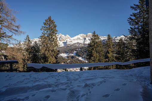 Winter snowy forest with alpen panorama and blue sky