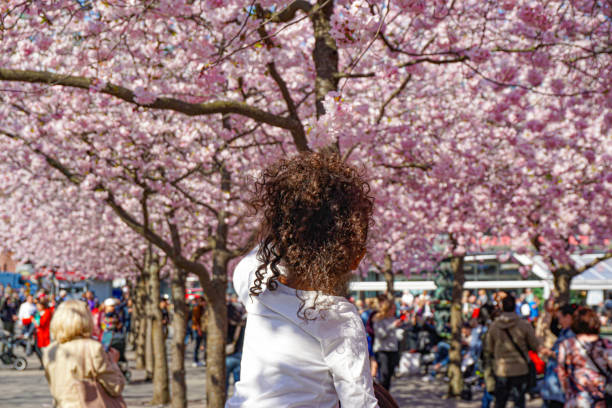 Rear view of a girl standing in park with cherry trees during spring