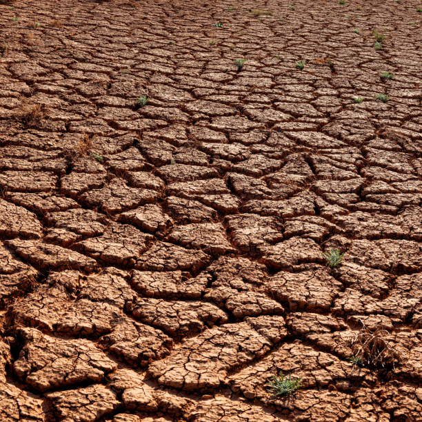 istock Cracked clay in the desert 2149805535