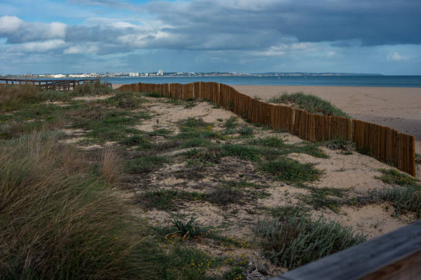 istock panoramic view of Ocean In Portugal 2149806470