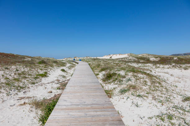 A serene wooden pathway meanders through the sandy dunes covered in sparse vegetation under a clear blue sky, evoking a sense of calm and escape