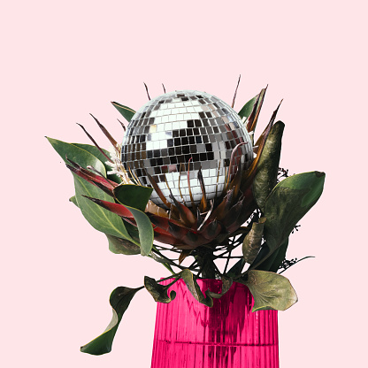 Contemporary art collage. Plant in vase blooming with silver disco ball. Interplay between nature and human-created joy. Concept of pop art, disco, party, Friday mood, emotions, creativity.