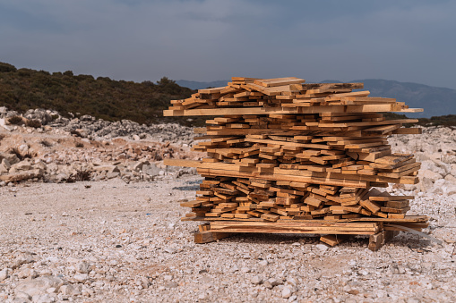 Pile of beech tree firewood isolated on white, lumber industry