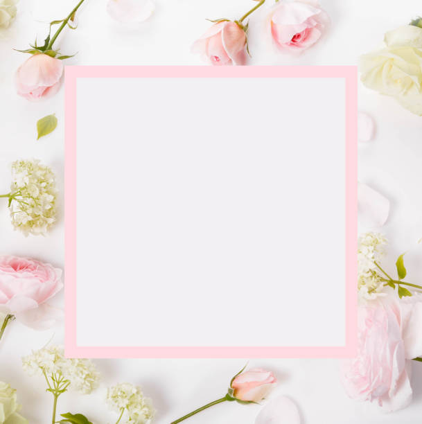 istock Festive flower composition on white background. Overhead view, flat lay, frame 2149814061