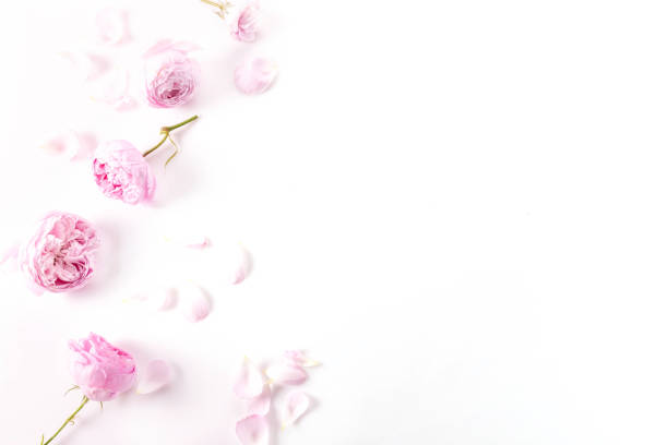 istock Festive flower composition on white background. Overhead view 2149814064