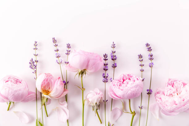 istock Festive flower composition on white background. Overhead view 2149814069