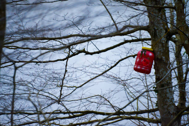 Birdhouse in public park, outdoors, nature, environment