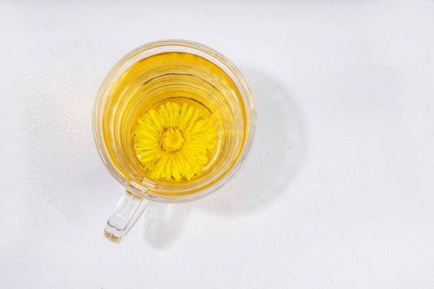 Dandelions plant herbal flower tea. Transparent glass cup and teapot with golden hot tea drink, on white background with dandelion flowers and leaves