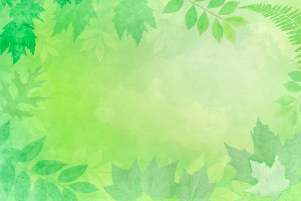 istock Spring and Summer Leaves Border Background with Copy Space 2149821313