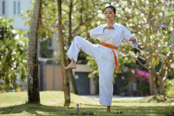istock Taekwondo Athlete Working out 2149822197