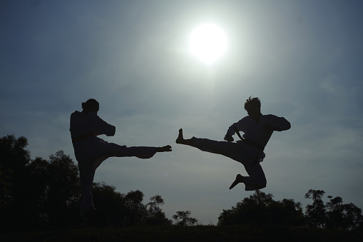 Taekwondo athlete jumping high and doing side kick
