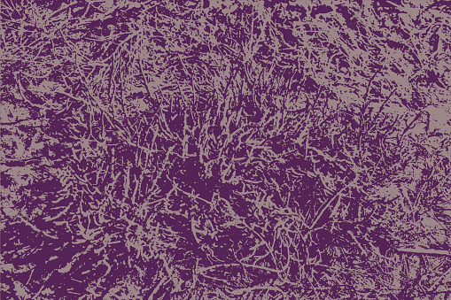 Rough violet-purple-brown grunge grass texture. Monochrome plant silhouette for overlay. Shabby scratched abstract natural floral background