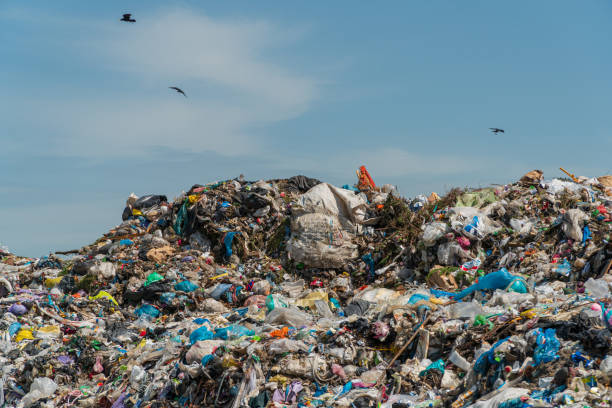istock Garbage landfill. A big mountain of household waste. Problems with recycling and sorting garbage. Birds fly over the garbage dump 2149826829