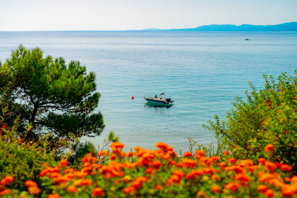 A beautiful bay with a motor boat.
