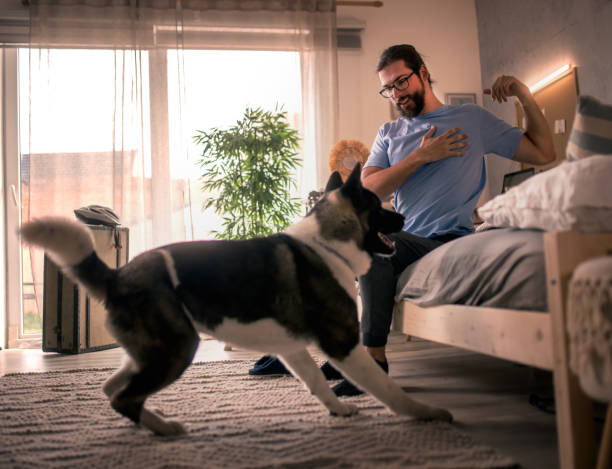 istock young man  waking up with his dog i the bed 2149827062