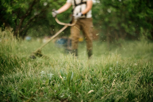 istock Farmer mowing grass with agricultural machinery 2149827122