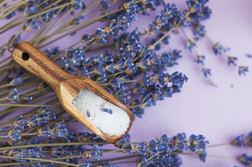 Lavender sugar on purple background, close up. Bouquet of dry lavender and wooden spoon with lavender sugar