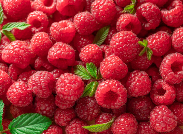 istock Fresh red ripe raspberries. Raspberries background. 2149831380