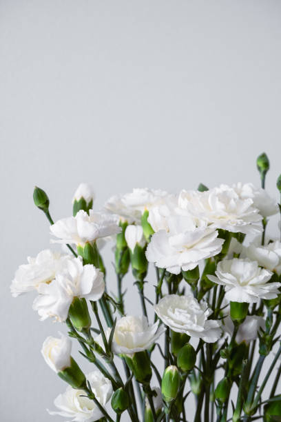 istock white carnation flowers bouquet, holiday greeting card 2149833385
