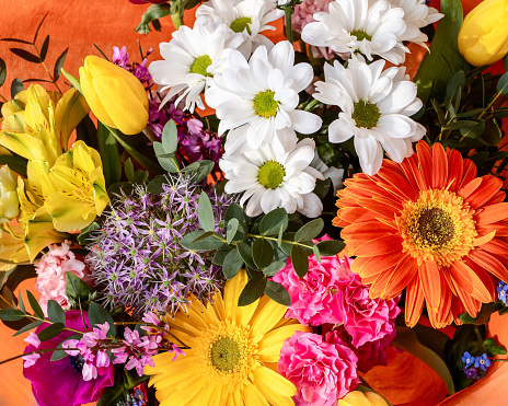 A vibrant bouquet with rich tapestry of floral hues, this arrangement mixes yellow tulips, white daisies, and bold gerberas with sprigs of purple accents