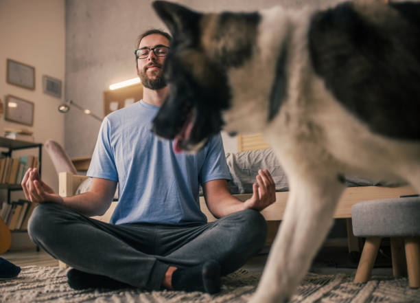 istock man meditating with his pet dog 2149836654