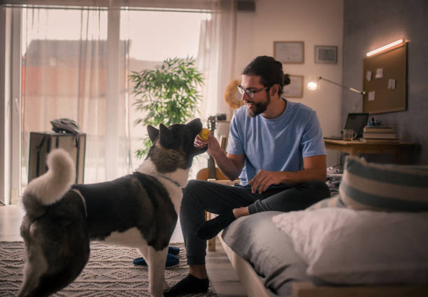 istock young bearded man playing with his pet dog 2149839159