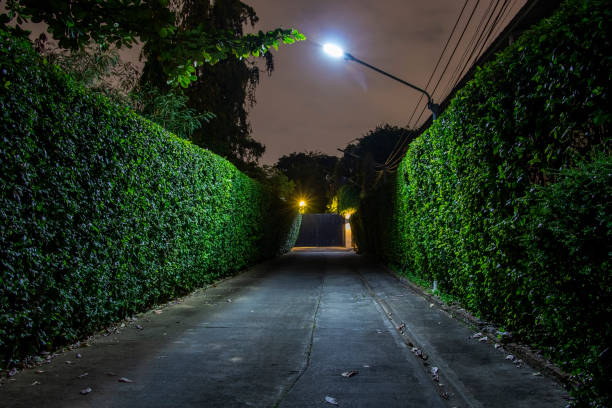 Free Stock Photo of Dark Alley at Night With Street Light On | Download ...