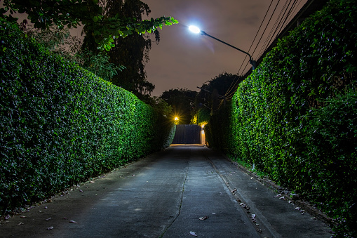 street at night with hedges. at the end of the street there is a closed gate with alarms