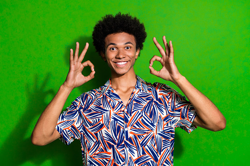 Portrait of enjoyment picture cheerful young boyfriend demonstrate okey sign double approvement isolated on green color background.