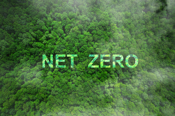 istock Carbon neutral  and Net Zero concept.Social responsibility,Sustainability and conservation.Sharing,reusing,repairing,renovating and recycling existing materials and products as much possible. 2149841085