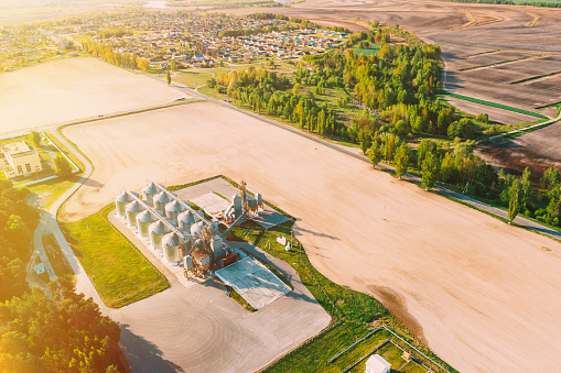 Aerial Elevated Top View Modern Granary, Grain-drying Complex, Commercial Grain Or Seed Silos In Sunny Spring Rural Landscape. Corn Dryer Silos, Inland Grain Terminal, Grain Elevators In A Field. Sunlight Sunshine sunny weather.