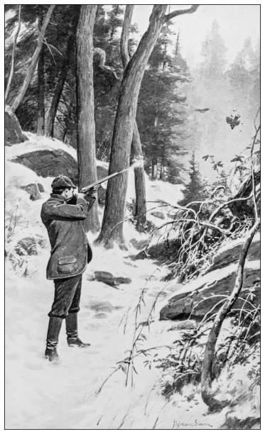 Antique image: Hunter shooting bird