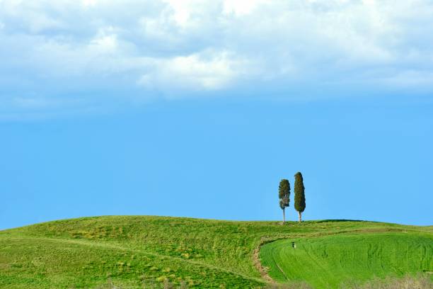 European field with countryside road