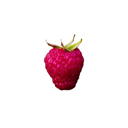 A vibrant red raspberry isolated on a white background, showcasing its intricate texture and natural shape; ideal for food advertisements or nutritional content.