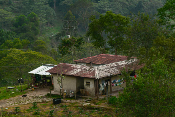 An old dilapidated and defaced hut overgrown with bushes under a stormy sky