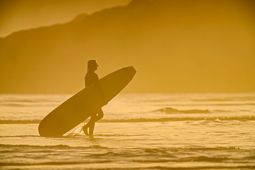 The Pacific Rim National Park on Vancouver Island on April 28, 2023:  Sunset view of a young male exiting the ocean after a surfing session at Pacific Rim National Park on Vancouver Island, British Columbia