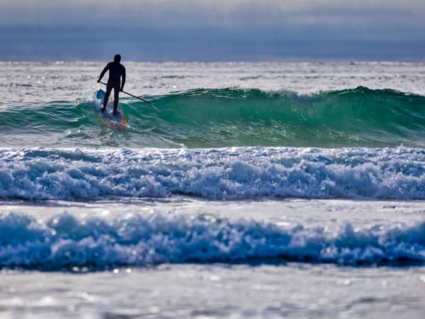 The Pacific Rim National Park on Vancouver Island on April 26, 2023:   Young male engaged in paddle boarding at Pacific Rim National Park on Vancouver Island, British Columbia