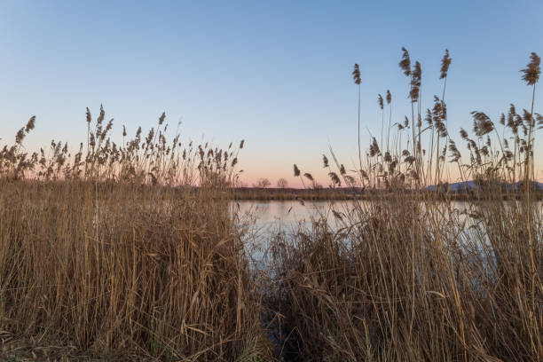 istock Evening landscape at sunset by the pond. 2149849958