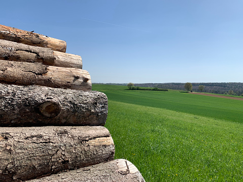 A woodpile in the foreground outdoors on a green lawn in spring in Germany. The background is a green lush meadow and a forest in the distance, and a blue sky. Horizontal photo