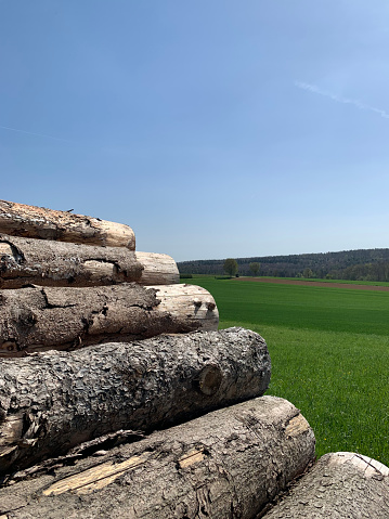 A woodpile in the foreground outdoors on a green lawn in spring in Germany. The background is a green lush meadow and a forest in the distance, and a blue sky. Vertical photo