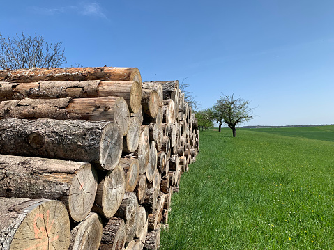 An open-air woodpile on a green lawn in spring in Germany. Against the background are fruit trees in bloom and blue sky. Horizontal photo. Side view
